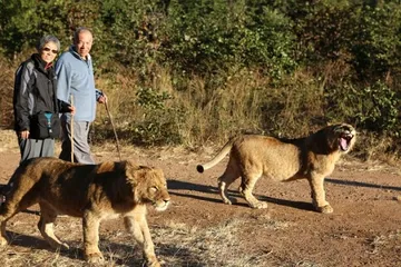 Zimbabwe Travel Guide8