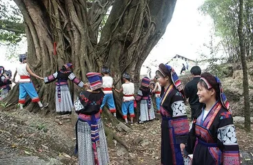 Traditional customs of the Buyi people3