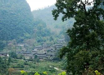 Traditional customs and habits of the Yao people1