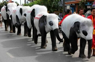 Thai customs7