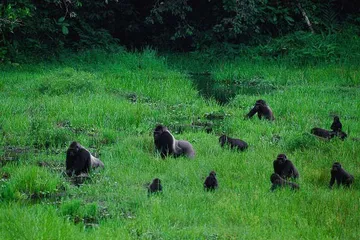 A complete list of tourist attractions in Congo (Brazzaville)3