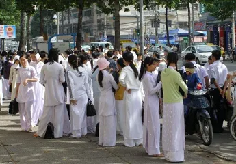 Vietnam customs3
