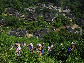 An Overview of Jinuo People's Marriage and Marriage Customs