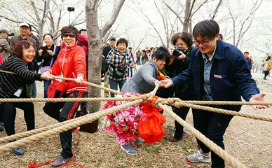 Top ten traditional customs during Qingming Festival6