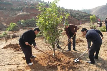 Top ten traditional customs during Qingming Festival9