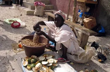 Senegal customs and taboos8