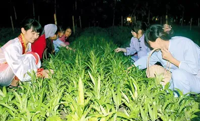 Top ten traditional customs during the Mid-Autumn Festival7