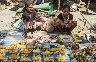 East Timor customs and taboos4