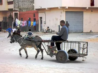 Western Sahara customs8