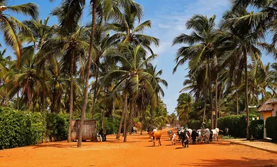 Travel guide of Benin6