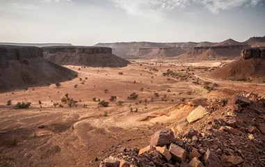 Living customs in Mauritania7