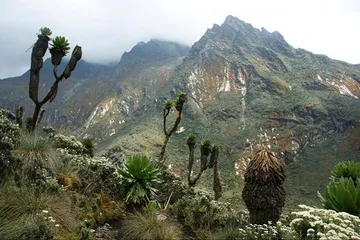 Top ten tourist attractions in Uganda3