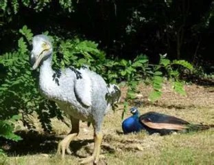 Holiday honeymoon tourist destination-Mauritius, the hometown of the Dodo bird
