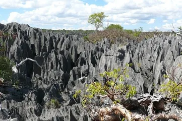 Madagascar Tourist Attractions Guide6