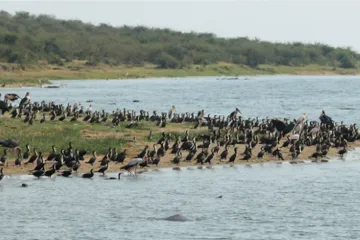 Top ten tourist attractions in Uganda8