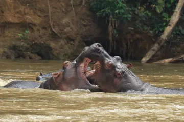 Top ten tourist attractions in Uganda9