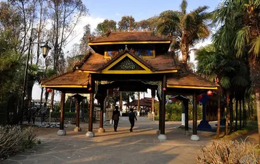 Dai traditional customs1