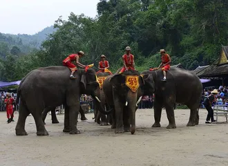 Dai traditional customs2