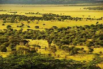 Top ten tourist attractions in Tanzania4