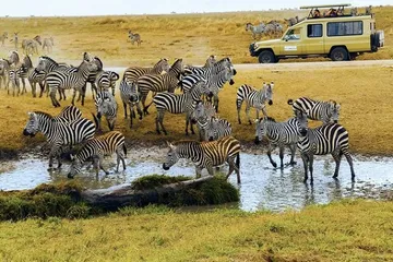 Top ten tourist attractions in Tanzania5