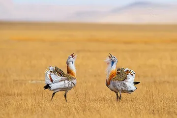 Top ten tourist attractions in Tanzania7