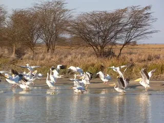 Top ten tourist attractions in Tanzania8