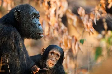 Top ten tourist attractions in Tanzania9