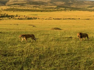 Top ten tourist attractions in Kenya2