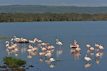 Top ten tourist attractions in Kenya4