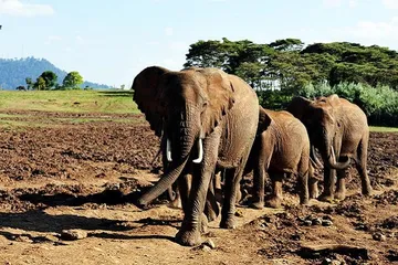 Top ten tourist attractions in Kenya5