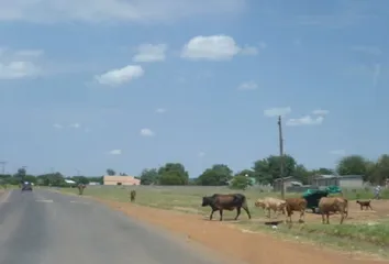 Botswana customs4