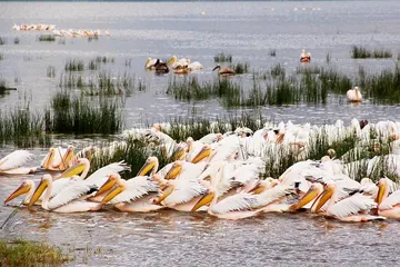 Top ten tourist attractions in Kenya7