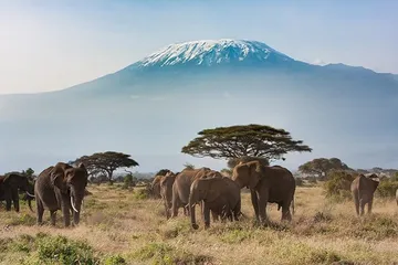 Top ten tourist attractions in Kenya8