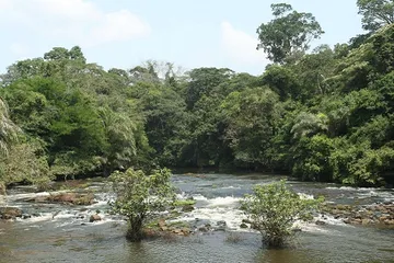 A complete list of tourist attractions in Sierra Leone4