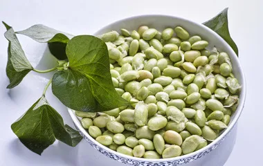 DIY slimming dessert, mint and mung bean soup5
