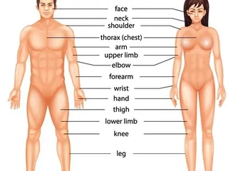Women
