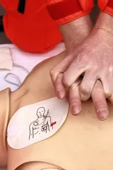 Is obesity contagious? Interesting facts about weight