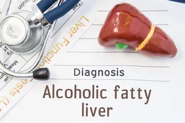 Where does the fat come from?