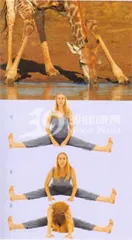 Yoga poses: Apana pose