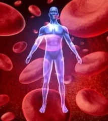 Yoga Knowledge: Five Kinds of Life Qi of Human Body
