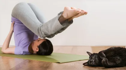 Love yourself fiercely 2 styles of postpartum weight loss yoga and quick slimming (picture)5