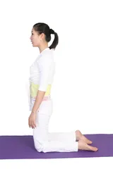 5 belly-reducing yoga moves to effectively reduce belly (picture)