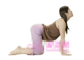 6 Thin Waist Yoga Movements Thin Waist It