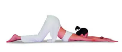Five styles of weight loss yoga create charming curves (picture)0