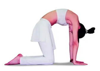 Five styles of weight loss yoga create charming curves (picture)1