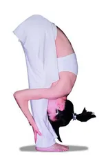 Five styles of weight loss yoga create charming curves (picture)3