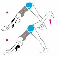 Four-style weight loss yoga powerful fat burn and shed fat (photo)0