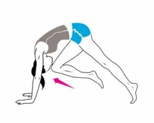 Four-style weight loss yoga powerful fat burn and shed fat (photo)2