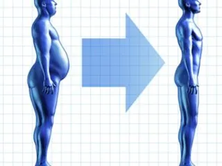 Office slimming down is not a dream