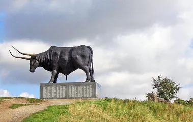 Famous tourist city in Estonia7